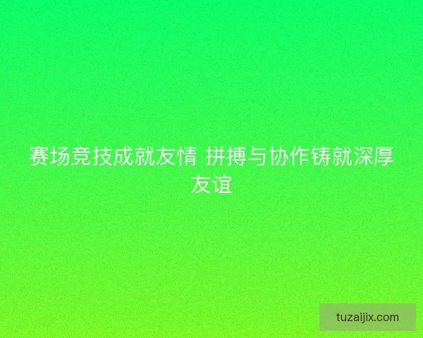赛场竞技成就友情 拼搏与协作铸就深厚友谊