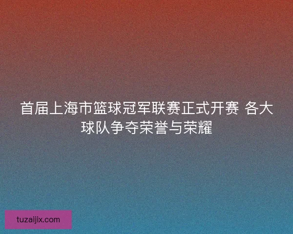 首届上海市篮球冠军联赛正式开赛 各大球队争夺荣誉与荣耀