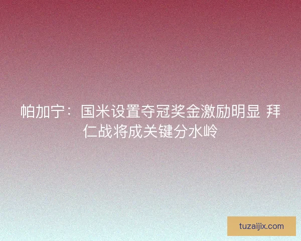 帕加宁：国米设置夺冠奖金激励明显 拜仁战将成关键分水岭