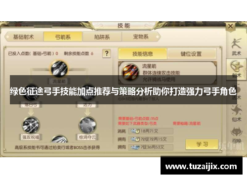 绿色征途弓手技能加点推荐与策略分析助你打造强力弓手角色