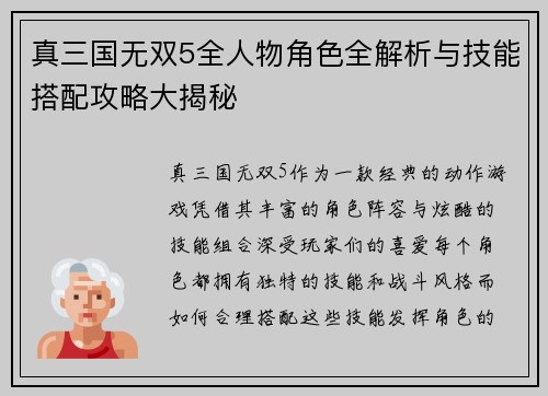 真三国无双5全人物角色全解析与技能搭配攻略大揭秘